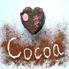 High Quality Natural Cocoa Powder with Competitive Price