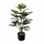 Import High-quality plant decoration ornaments wall decoration small bonsai 18 artificial green plants from China
