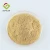 Import High Quality Pure Natural Hops Flower Extract Powder from China