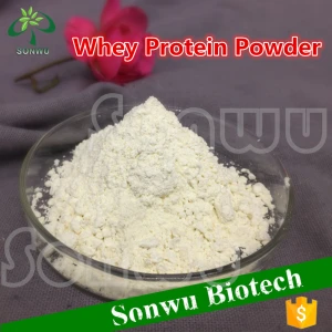 High Quality Wholesale Whey Protein Powder Food Grade Hot Sales