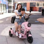 High sales volume 14 inch fastest old people 48V/60V 20AH tricycle 3 wheel 500W electric mobility scooter