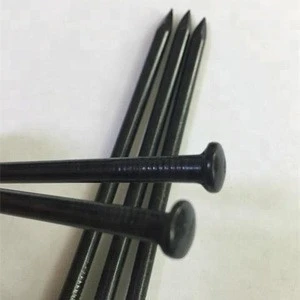 High standard black concrete nails with holland quality