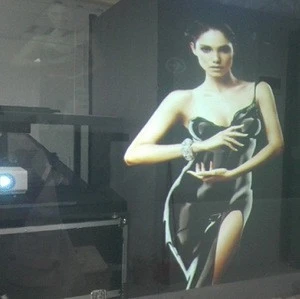Hologram Display/Transparent Projection Screen/3D Film Rear Project for Shop Window Advertising