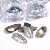 Holographic Nail Art Glitters - Nail Art Supplies Sequins - 3D Laser  Glitter Flakes - Shiny Acrylic Nails Powder Dust