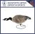 Import Hot Sale High Quality Plastic 3D Canada Goose Decoys from China