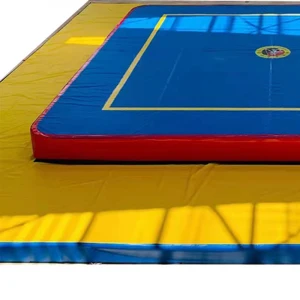 Hot Sale High Quality Training Competition Sanda Boxing Ring  Martial Arts Sanda Cage With Wholesale Price