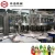 Hot sale PET bottled juice filling machine with lower price