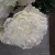 Import Hot Sale Real Looking White Color Long Stem PU True Touch Peonies from China