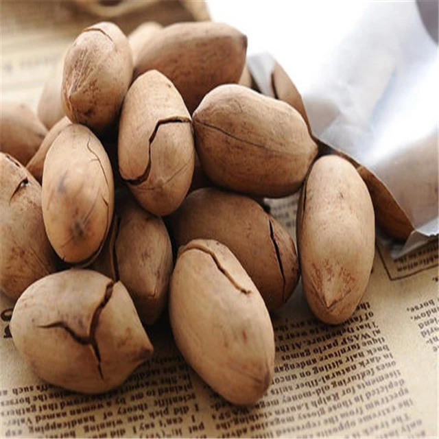 Hot Sales Healthy High Quality Grade Pecan Nuts Bleached Non-Bleached Pecans Nut From China