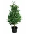 Import hottest artificial olive tree, 190cm plastic olive tree, wholesale indoor plant from China