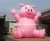 Import inflatable pig balloon, outdoor advertising inflatables S2005 from China