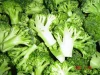 IQF health vegetable products frozen vegetables  broccoli in hot sales