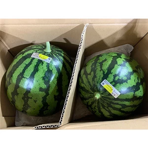 Japan exporting watermelon fruit seasoning big melon sweet melon