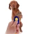 Import Kingtale Coolrunner Universal Animal dog clicker pet training with Wrist Bands Strap from China