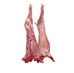 Lamb Meat :HALAL FRESH / FROZEN GOAT / LAMB / SHEEP MEAT / CARCASS