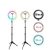 Import live streaming video makeup selfie led ring light with tripod stand phone kits ring light with tripod stand from China