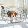 Lorenzo OEM Recinto Per Cani 36inch Stainless Kandang Anjing Rabbit Hutch Kooi Large Pet Cat Cage Houses Steel Dog Fence