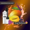 Malaysia Mango Blackcurrant E-juice Flavour Concentrate Ready Mix