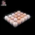 Import Manufacture Food Grade Plastic Egg Tray, 30 counts clear egg carton from China