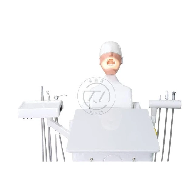 Medical school teaching and learning Oral Equipment Excellent Oral Simulation Unit
