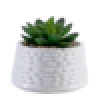 Mini Artificial Potted Plastic Handicraft Succulent Bonsai Plants in Ceramic Pot for Indoor Home Decor