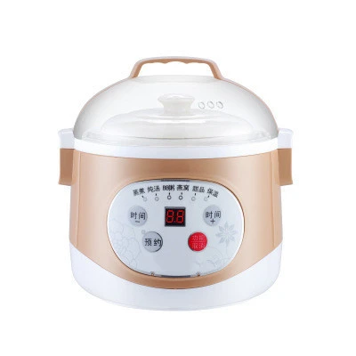 Mini simmer/multi-function electric cooker for home