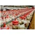 Modern poultry farm equipment Manufacturers with poultry feeding systems