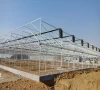 Multi-Span Agriculture Greenhouse Commercial Hydroponic Plastic Film Greenhouse for Fruits/Vegetables/Flowers.
