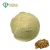 Import Natto extract nattokinase powder 2000fu/g-20000fu/g from China