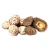 Import Natural magic mushrooms dried with good quality from South Africa