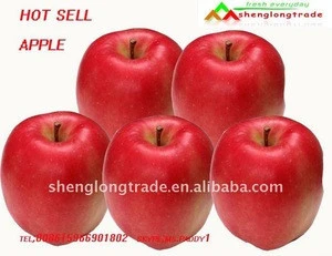 New corp fuji super sweet apples China factory to sell