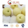 New Crop High Quality Fresh Pear (36/40/44/48/72/80/96/112)