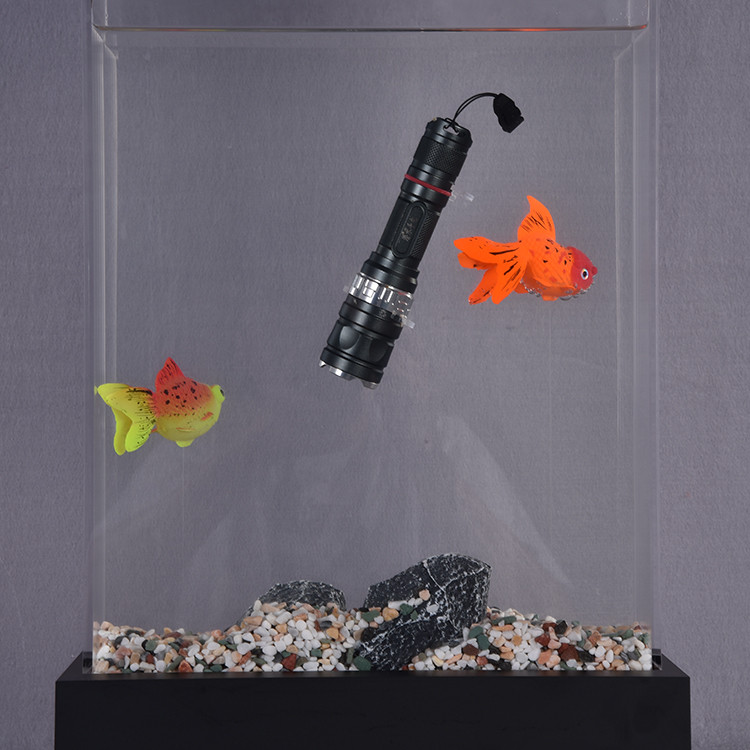 Torch Display Rack Buy New Design Acrylic Waterproof Electric Torch Flashlight Electronic ...