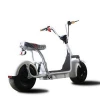 New EEC COC Door To Door Electric Bicycle 1500W 4 Wheel Adult Mobility Scooter For Adults,Handicapped Cars Scooter