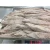 Import new good quality cheap fresh frozen precooked tuna loins fillet tuna fish from China