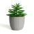 Import New home garden decoration resin flowerpot from China