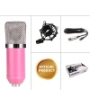 New Hot Selling Professional Studio Microphone Sound Card Recording Live USB Audio Interface Microphone Kit