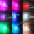 Import New Model 16-Color Motion Sensor LED Toilet Bowl Night Light from China