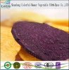 New products VF purple sweet potato chips / vegetable chips