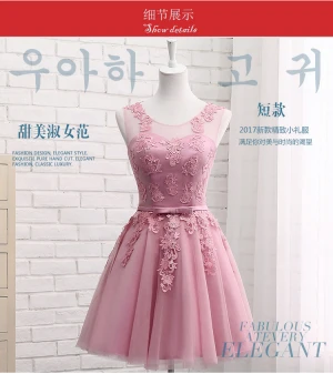 New style wedding party dress lace sleeveless pink tulle bridesmaid dresses