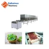 New Technology Meat Production Microwave Degreasing Sterilization Equipment