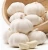 Import normal white garlic /  fresh garlic with low price from China