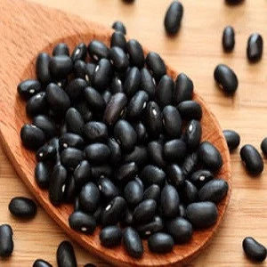 Organic Grains Small Black Kidney Beans .
