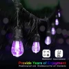 Outdoor Christmas Powered Led Bubble Crystal Ball Holiday Party Decoration String Light