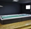 outdoor hot tub swimming pool/swim spa/portable spa pool
