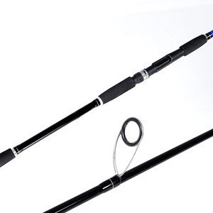 Peche 2 Sections Saltwater Fishing Tackle Carbon Spinning Casting Fishing Rod Hard Carbon Fishing Rods