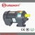 Import pellet burner solid fuel fire boiler AC induction gear motor from China