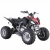 Import Pentora Raptor Style 250cc ATV Quad from China