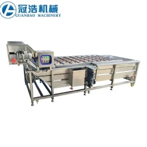 Pepper Bubble Cleaning Machine Factory Jiazi Jujube Fruit and Vegetable Spray Cleaning Machine