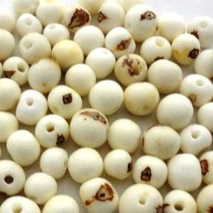 Peruvian Natural beads for jewelry making, Acai beads - Natural Brown